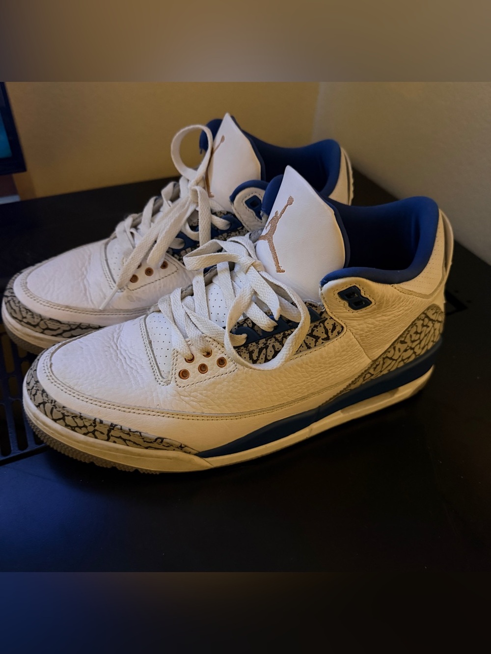 Air Jordan 3 Retro ‘Wizards’ Elephant Print